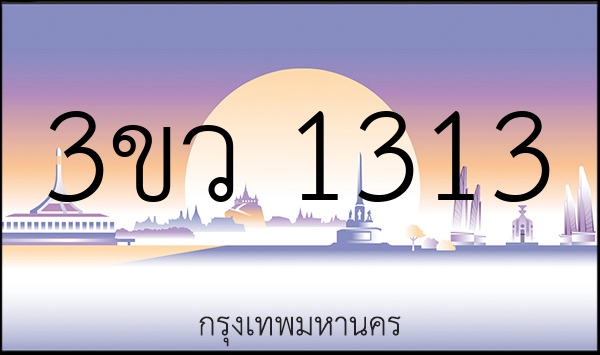 3ขว 1313